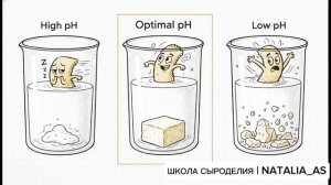 УРОК 9. ПОЧЕМУ СГУСТОК БЫВАЕТ СЛАБЫМ