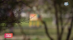 Рубрика «Балалаф». Выпуск от 30.03.2026