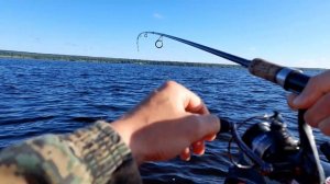 Окунь на реке Обва Пермского края на "Гирлянду". Силиконовые приманки Ural Baits