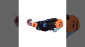 Давид-Гормошка