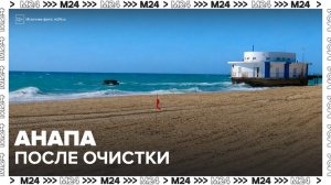 Пляжи Анапы откроются после уборки 185 тысяч тонн загрязненного грунта - Москва 24