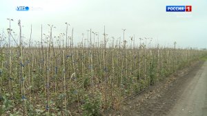 В Кабардино-Балкарии приступили к закладке новых садов