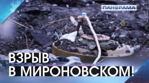 Ребёнок доставлен в больницу: сдетонировал взрывоопасный предмет ВСУ! 30.03.2026."Панорама"