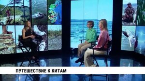 Путешествие к китам / Екатерина Палагина, Ксения Кузнецова