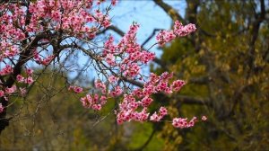 Срочно сделайте до заката 31 марта.