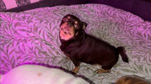 Всем наидобрейшего утречка и прекрасного настроения.