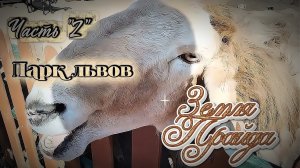 Зоопарк #Земля_Прайда. Парк Львов. Часть «2»