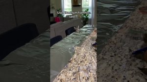 кошки и фольга