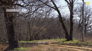 Плохая дорога к Золотой горе. ГОРЯЧАЯ ЛИНИЯ