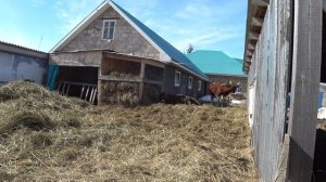 Гуляем в две смены - весна пришла .