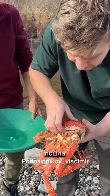 Как ловят крабов во Владивостоке 🤯🫶🙀