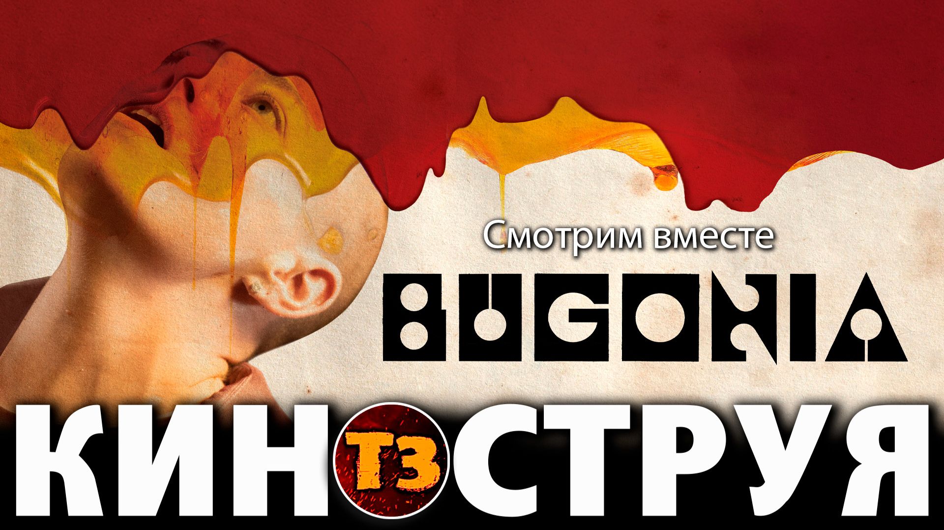 Бугония - киноструя Троллевик Затейник