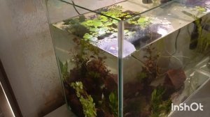 новый аквариум купила радость радостная теперь у рыб пяти комнатная квартира 😂