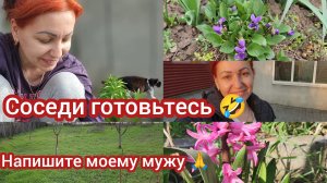 Какая же ты хозяйка ?!Ты ЗАСРАНКА !!!