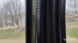 что посадила в теплицу//где я работала//мы их увидели//