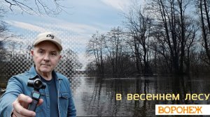 В весеннем лесу под Воронежем 30.03.26г.