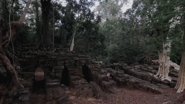 Spirit of Silence — Dark Ambient Soundscapes for Deep Relaxation & Inner Peace-(1080p24)