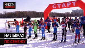 В Солнечногорске провели массовое первенство по лыжным гонкам