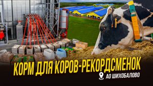 10 тонн корма в час с аптечной точностью | АО Шихобалово | Кормоцех на ферме | Кормление коров