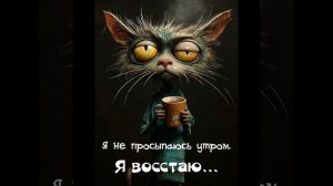 Выйду ночью на кухню с котом