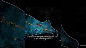 Истории дайвинга