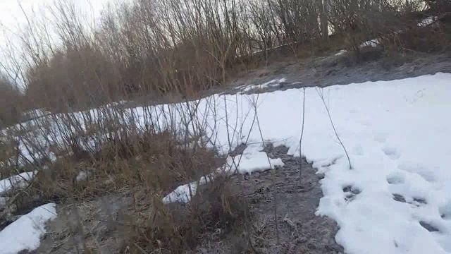 Утреняя прогулка по Северной Двине 30.03.2026.6-30 утра.