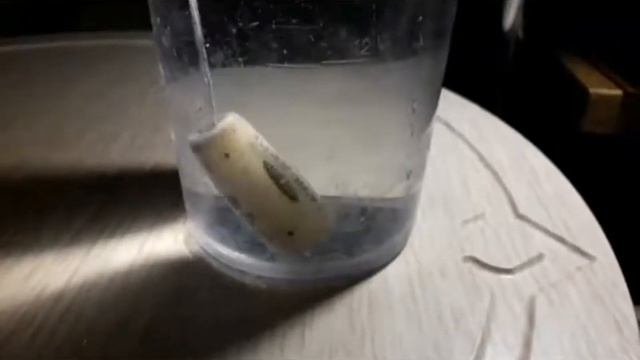 Физика. Сила Архимеда.