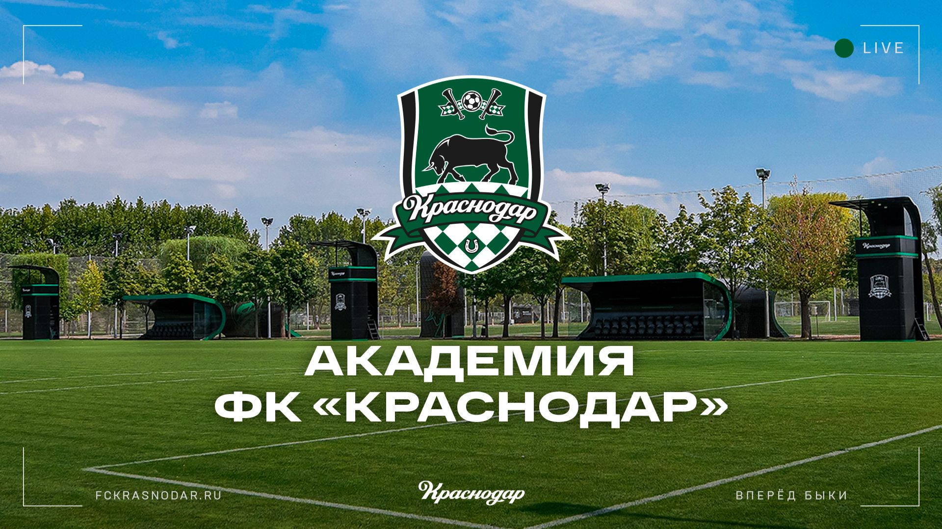 «Краснодар» (2011) – Сборная России (2012)