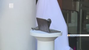 Новый бронзовый суслик появился в центре Красноярка