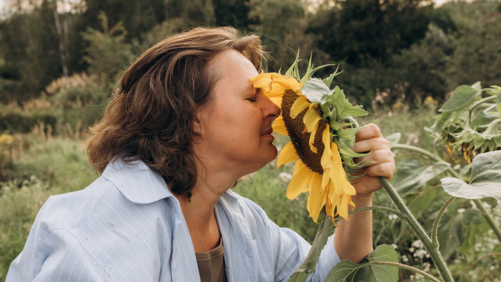 Семена от всходов до урожая.