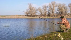 ПЕРВАЯ ВЕСЕННЯЯ РЫБАЛКА НА КАРАСЯ 2026. МНОГО ОКУНЯ. КАРАСЬ ПРОСНУЛСЯ. ПОПЛАВОК И ДОНКА.