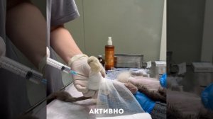 Фатьме провели операцию по извлечению пули