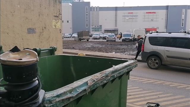 Как я зарабатываю лазая по мусоркам Питера? Dumpster Diving