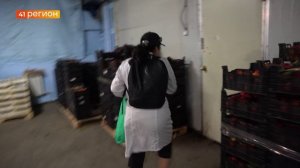 СПЛОШНУЮ ДЕРАТИЗАЦИЮ ПРОВЕДУТ В ПЕТРОПАВЛОВСКЕ В АПРЕЛЕ • НОВОСТИ КАМЧАТКИ