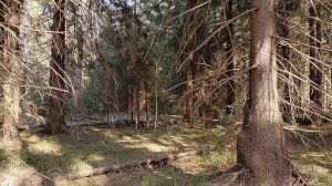 Премьера песни "Купель" /авторская песня/