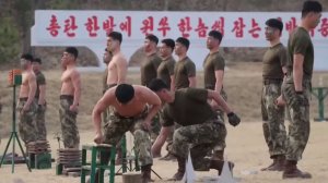 كوريا الشمالية.. لقطات مميزة لتدريبات مكثفة لوحدات القوات الخاصة