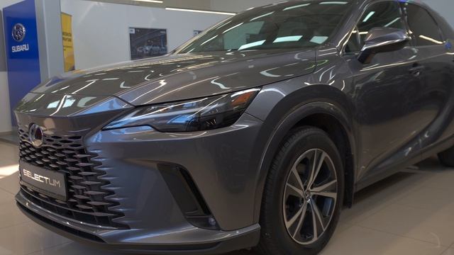 Базовый минимум или роскошный максимум. Болтанка