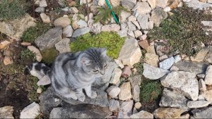 Какая красивая горка в саду у Яги, загляденье