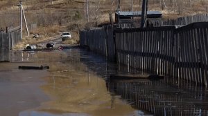 ПО УЛИЦАМ НА ЛОДКЕ: СНОВА ЗАТОПИЛО СНТ «ЧЕРЕМУШКИ»