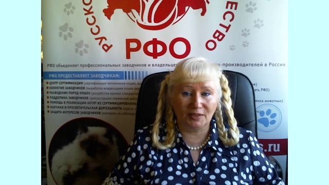 Фелинологические курсы для заводчиков (часть 1).