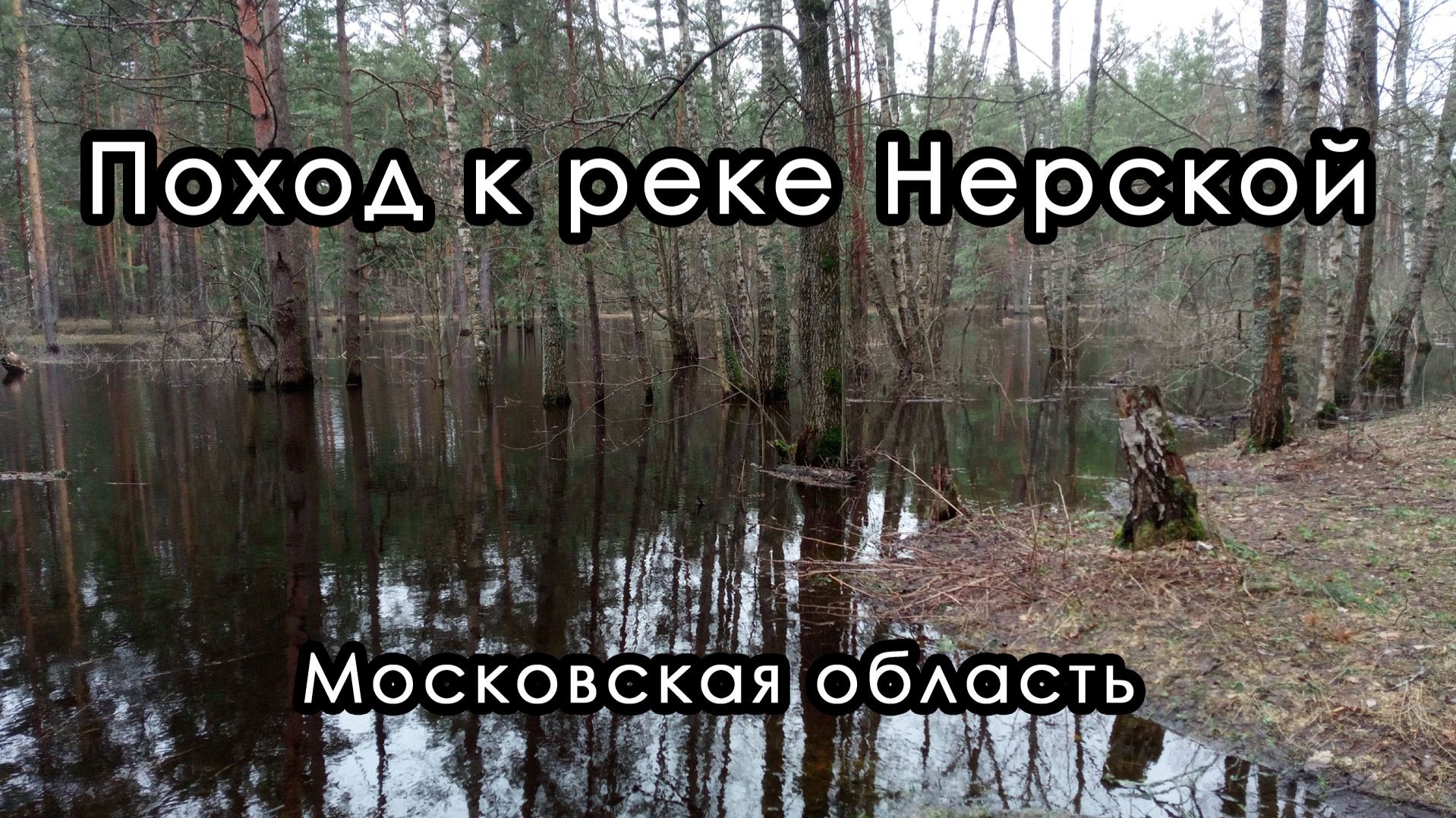 Поход к реке Нерской. Орехово-Зуевский район, Московская область.