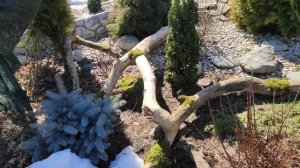 Весна пришла и снег растаял.Обзор 29 Марта.