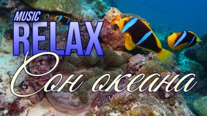 🦈 RELAX I ПОДВОДНЫЙ МИР И ТИШИНА ОКЕАНА — МУЗЫКА АНТИСТРЕСС ДЛЯ СНА И ВОССТАНОВЛЕНИЯ ЭНЕРГИИ