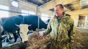 Олег Зубков СЧАСТЛИВ! Он своих коров не променяет ни на какие деньги и блага😁!