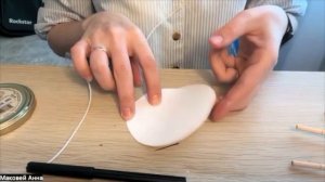 Игрушка Тауматроп