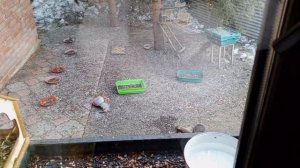 вкусный обед