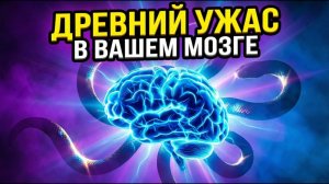Почему ВЫ вздрагиваете во сне? Древний УЖАС в вашем мозге