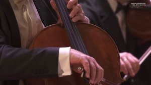 Гала-концерт IV Всероссийской виолончельной академии