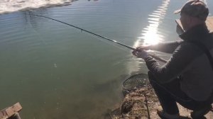 поимка форели на фидер