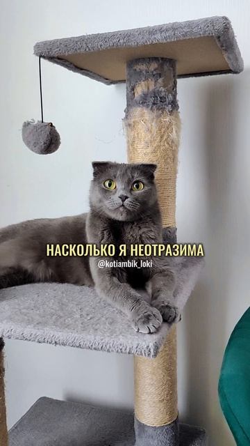 Она упала от собственной неотразимости😅